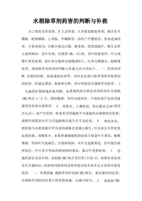 水稻除草剂药害的判断与补救