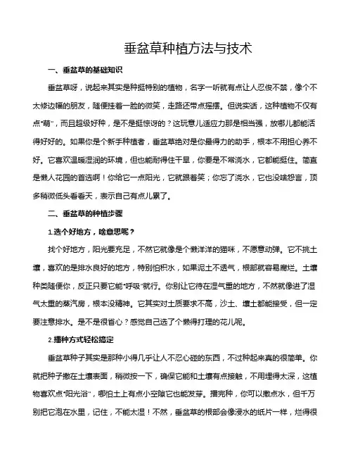 垂盆草种植方法与技术