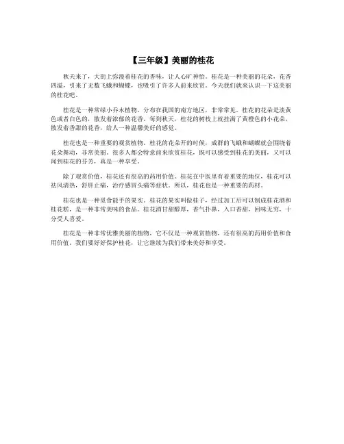 【三年级】美丽的桂花