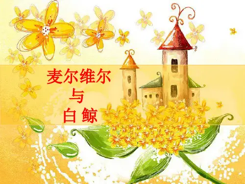 白鲸麦尔维尔
