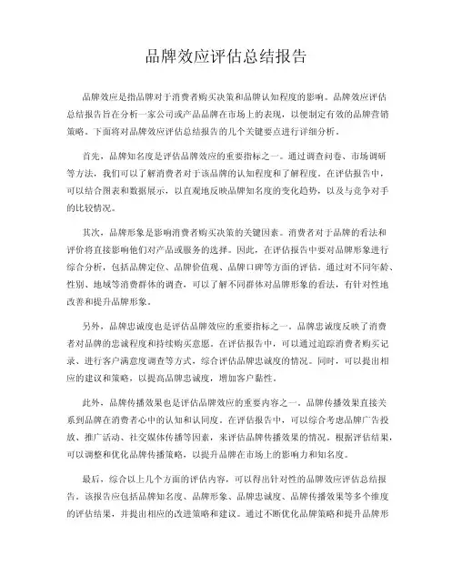 品牌效应评估总结报告
