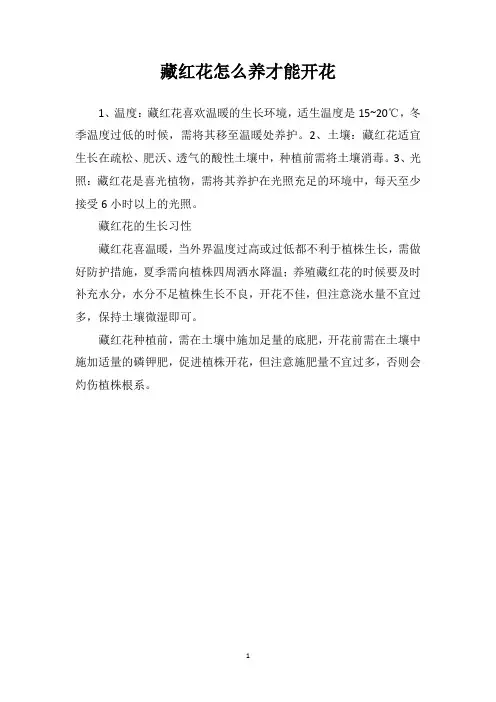 藏红花怎么养才能开花