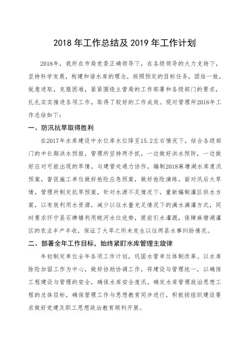 2018年工作总结及2019年工作计划.doc