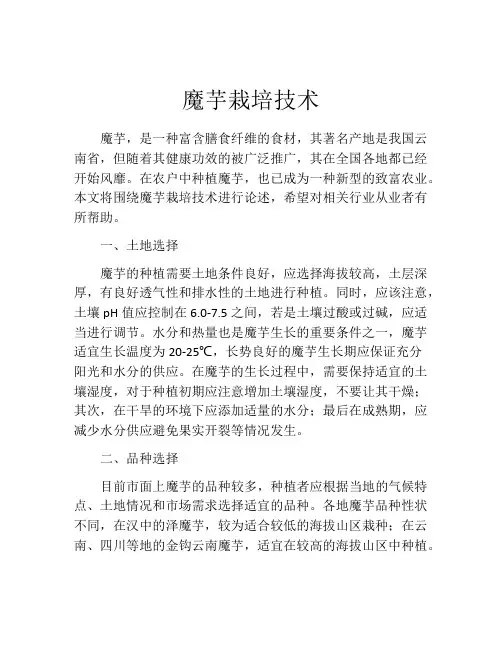 魔芋栽培技术