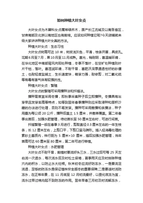 如何种植大叶女贞