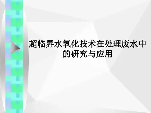 超临界水氧化技术ppt