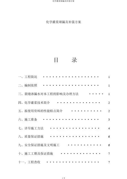 化学灌浆堵漏及补强方案