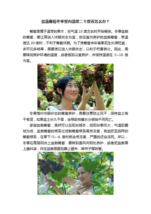 盆栽葡萄冬季室内温度二十度该怎么办？