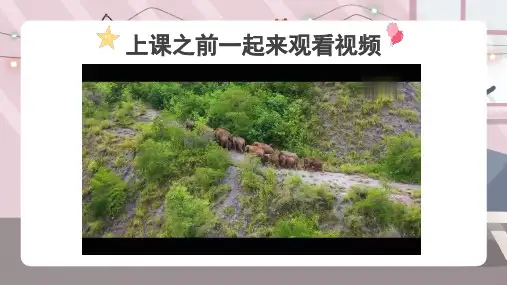 《小象找家》精品课件
