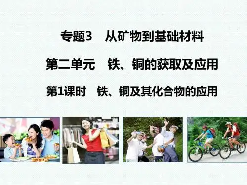 高一化学最新-铁铜及其化合物的应用课件4 精品