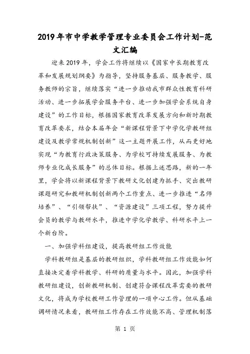 2019年市中学教学管理专业委员会工作计划-word