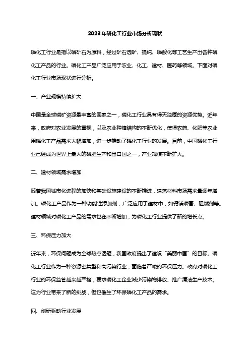 2023年磷化工行业市场分析现状