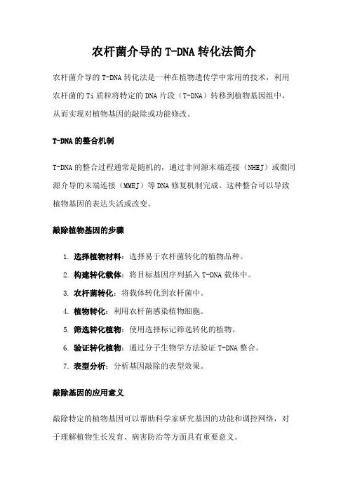 农杆菌介导的T-DNA转化法简介