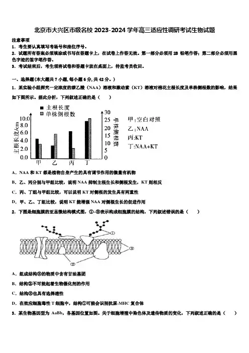北京市大兴区市级名校2023-2024学年高三适应性调研考试生物试题含解析
