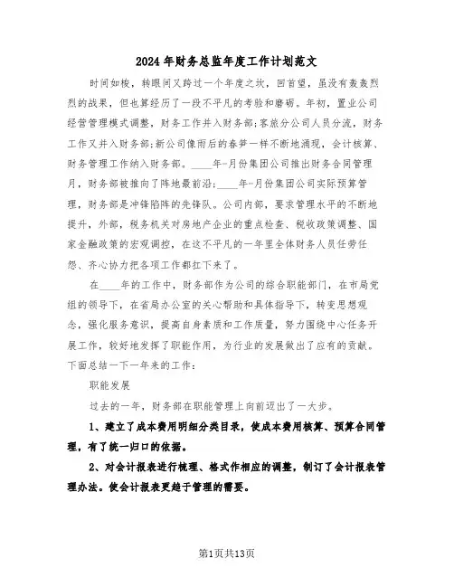 2024年财务总监年度工作计划范文(五篇)