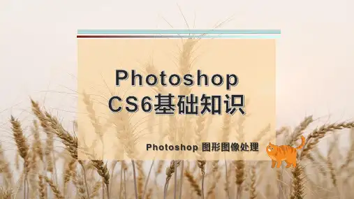 Photoshop CS6基础知识