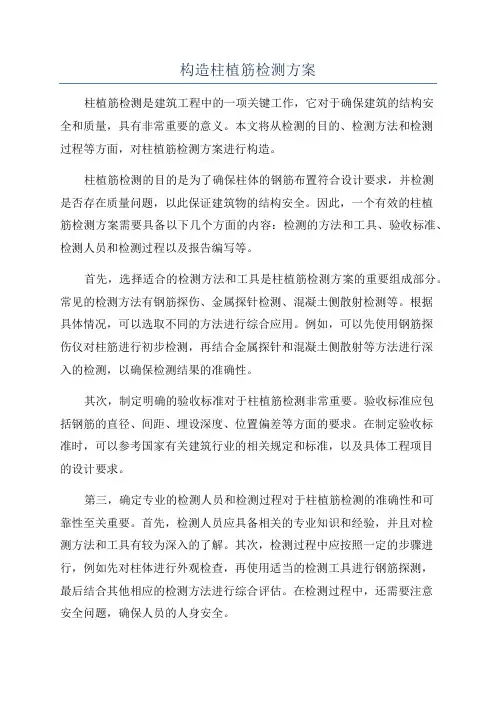 构造柱植筋检测方案