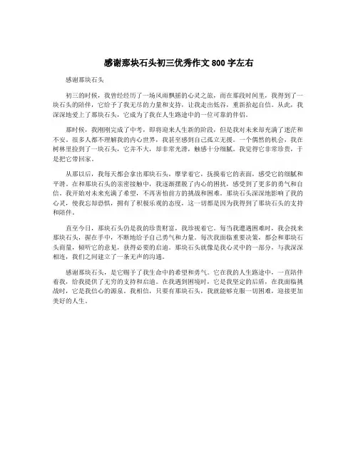 感谢那块石头初三优秀作文800字左右