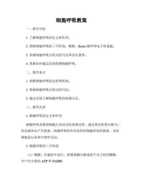细胞呼吸教案