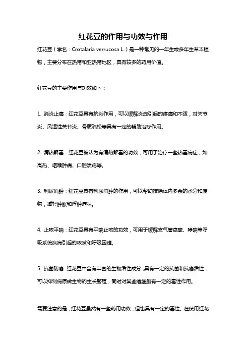 红花豆的作用与功效与作用