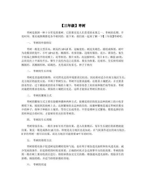 【三年级】枣树