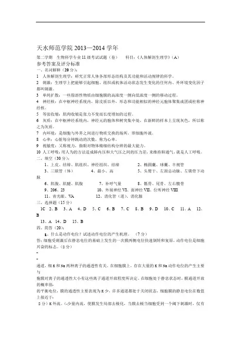 完整word版人体解剖生理学试题A-参考答案及评分标准