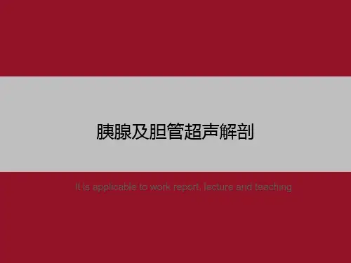 胰腺及胆管超声解剖