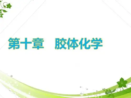 物理化学第十章 胶体化学