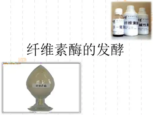 纤维素酶课件