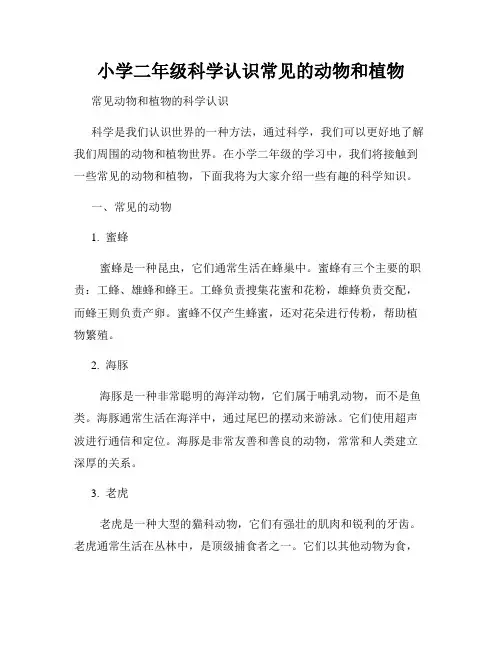 小学二年级科学认识常见的动物和植物