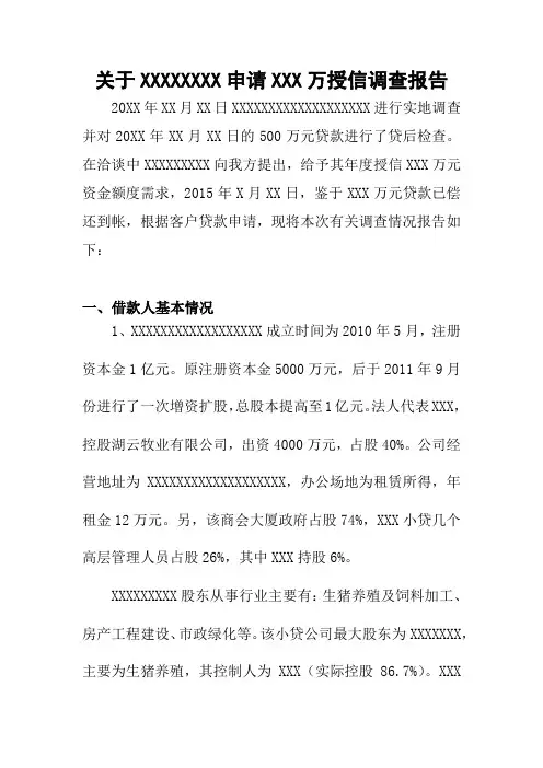 授信调查报告