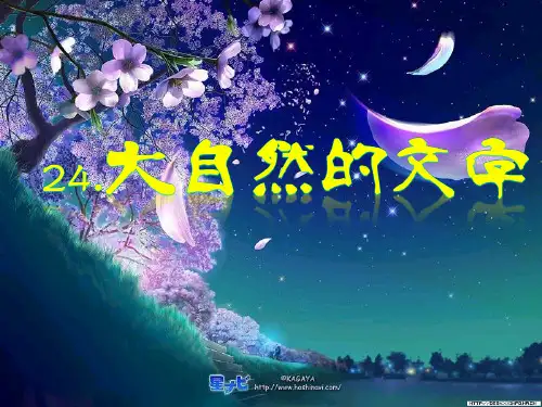 24大自然的文字ppt