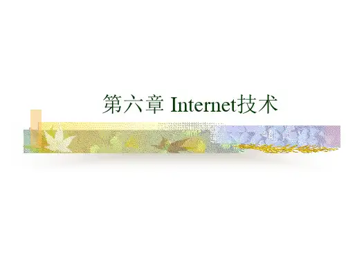计算机网络 ip及域名精品PPT课件