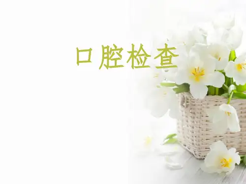 口腔检查ppt课件