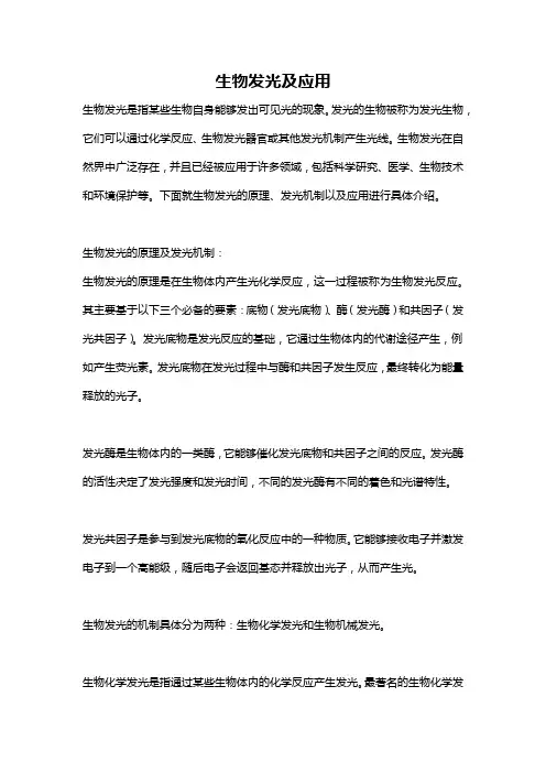 生物发光及应用