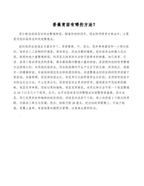 香蕉育苗有哪些方法？