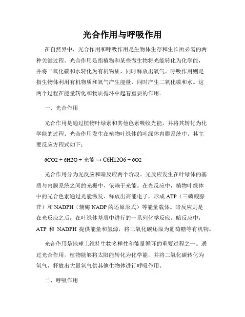 光合作用与呼吸作用