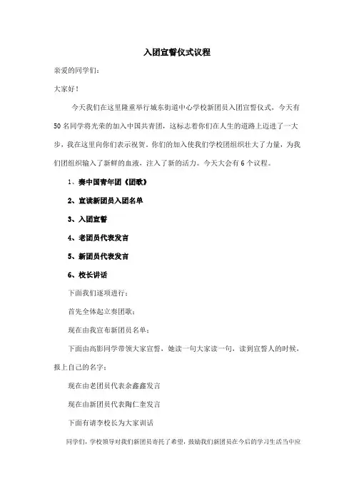 入团仪式具体议程