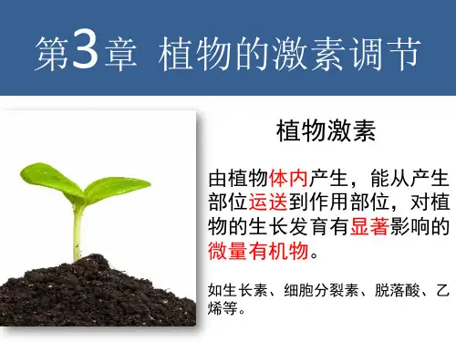 植物生长素的发现(公开课实用版).ppt