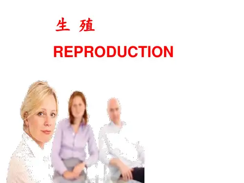 【系统解剖学课件】生殖