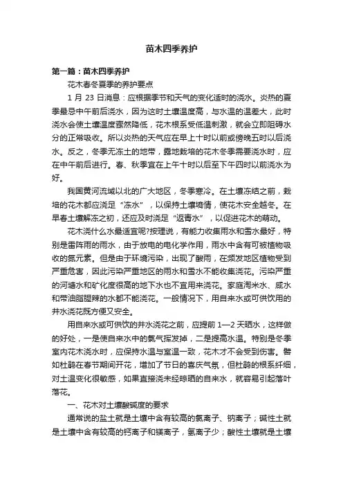苗木四季养护