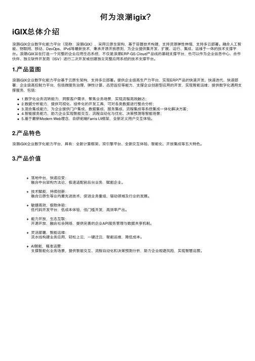 何为浪潮igix？
