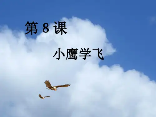 《小鹰学飞》精品课件
