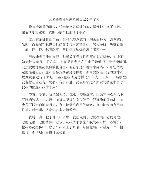 大名县森林生态园感悟100字作文
