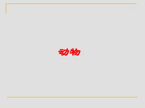 北京版初中八年级下册生物：动物_课件1