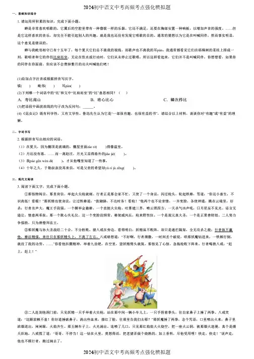 2024初中语文中考强化模拟卷 (217) 