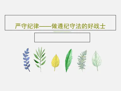 严守纪律——做遵纪守法的好战士45页PPT