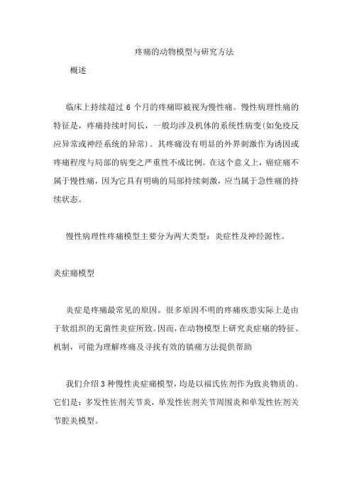 疼痛的动物模型与研究方法