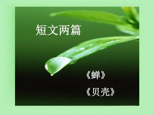 人教版七年级语文上册 第3课《短文两篇·蝉·贝壳》课件