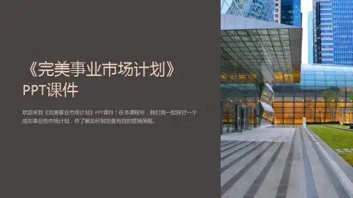 《完美事业市场计划》课件